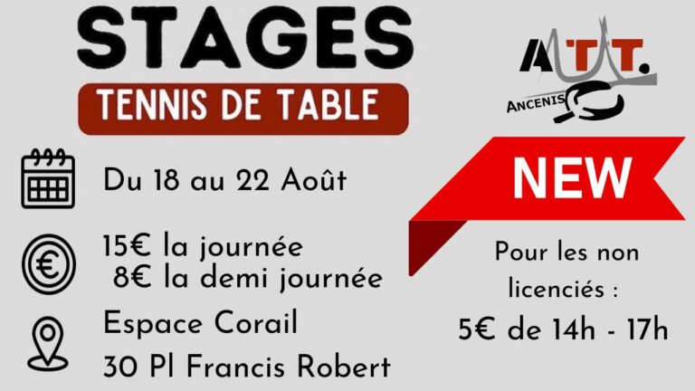 Stage de Ping de Août 2025